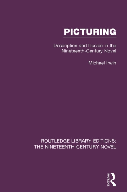 E-book Picturing Michael Irwin