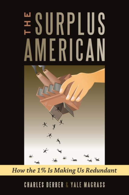 E-Book Surplus American Charles Derber