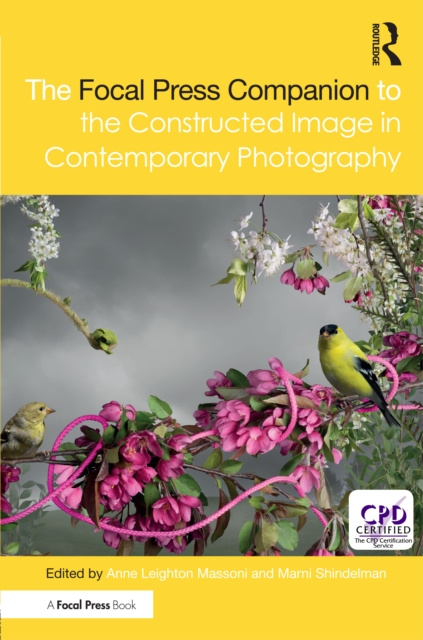 Libro elettronico Focal Press Companion to the Constructed Image in Contemporary Photography Marni Shindelman