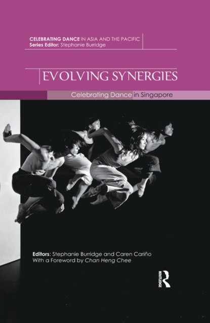 E-book Evolving Synergies Stephanie Burridge