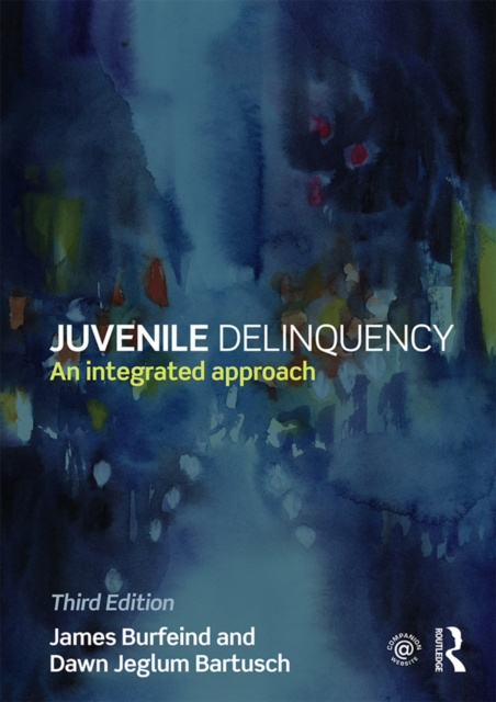 E-book Juvenile Delinquency James Burfeind