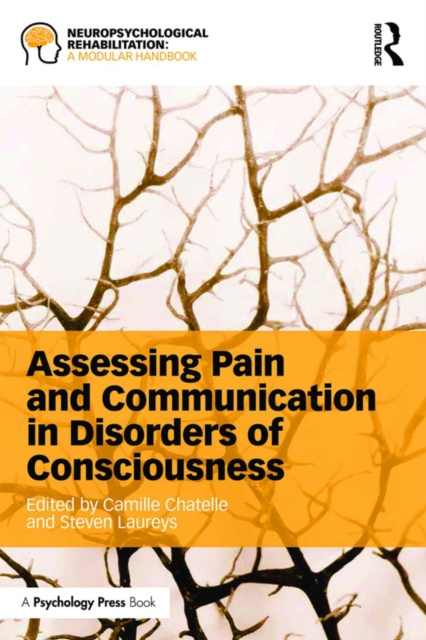 Libro elettronico Assessing Pain and Communication in Disorders of Consciousness Camille Chatelle
