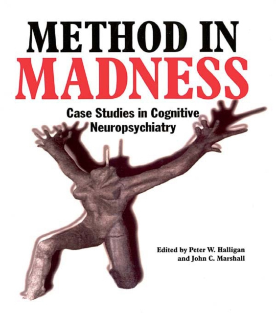 E-knjiga Method In Madness Peter W. Halligan