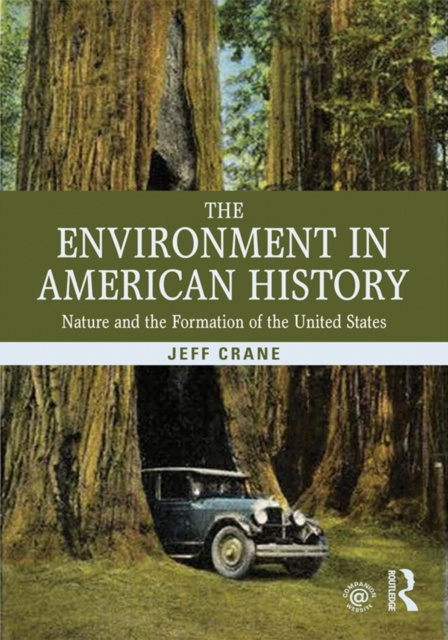 E-kniha Environment in American History Jeff Crane