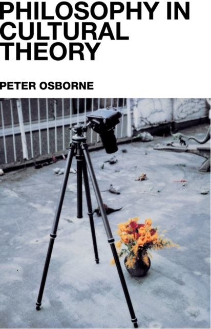 E-kniha Philosophy in Cultural Theory Peter Osborne