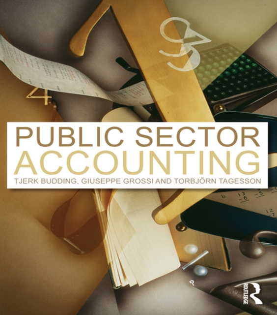 Libro elettronico Public Sector Accounting Tjerk Budding