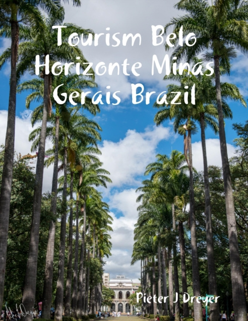 Libro elettronico Tourism Belo Horizonte Minas Gerais Brazil Dreyer Pieter J Dreyer