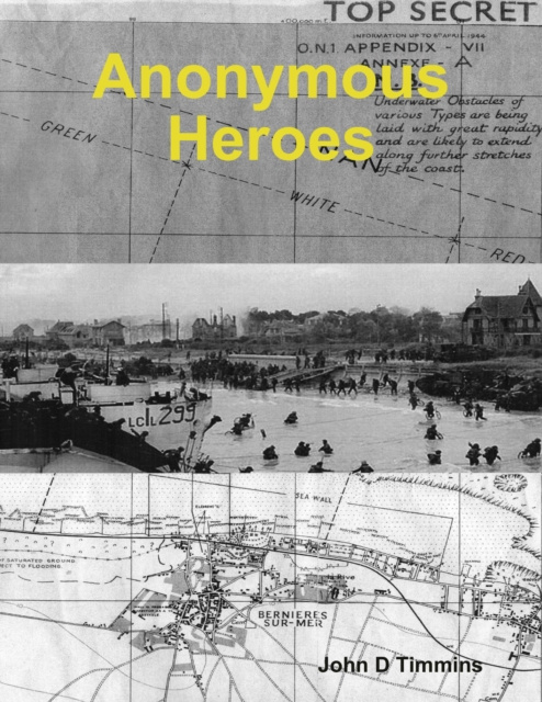 E-knjiga Anonymous Heroes Timmins John D Timmins