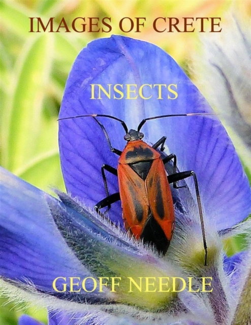 E-knjiga Images of Crete - Insects Needle Geoff Needle