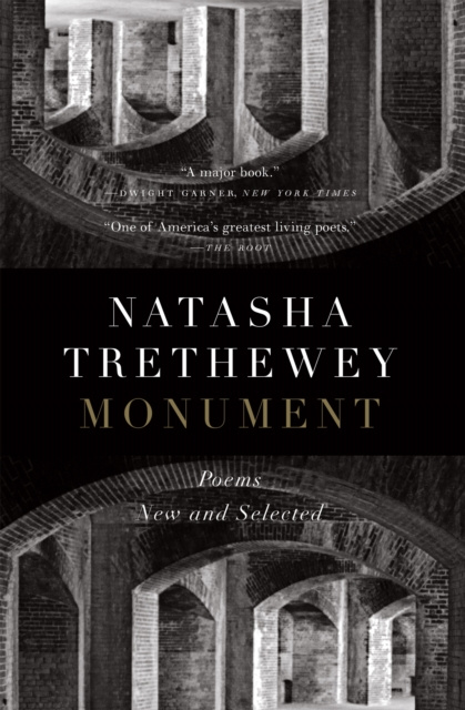 E-book Monument Natasha Trethewey