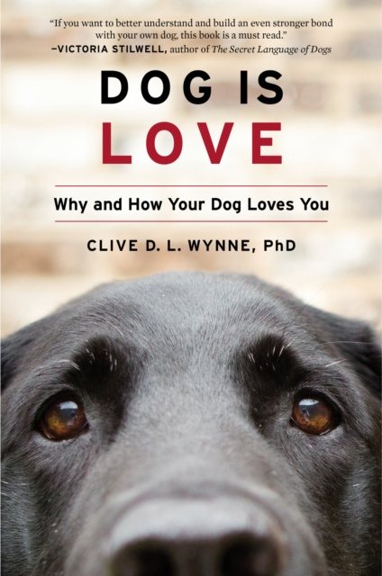 E-kniha Dog Is Love Clive D. L. Wynne