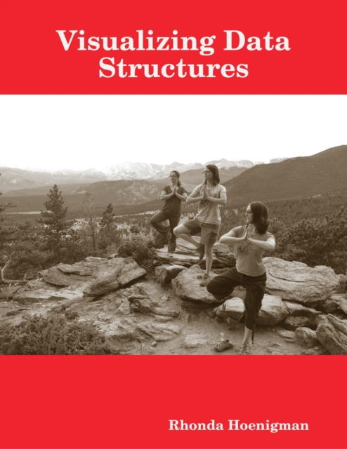 Libro elettronico Visualizing Data Structures Hoenigman Rhonda Hoenigman