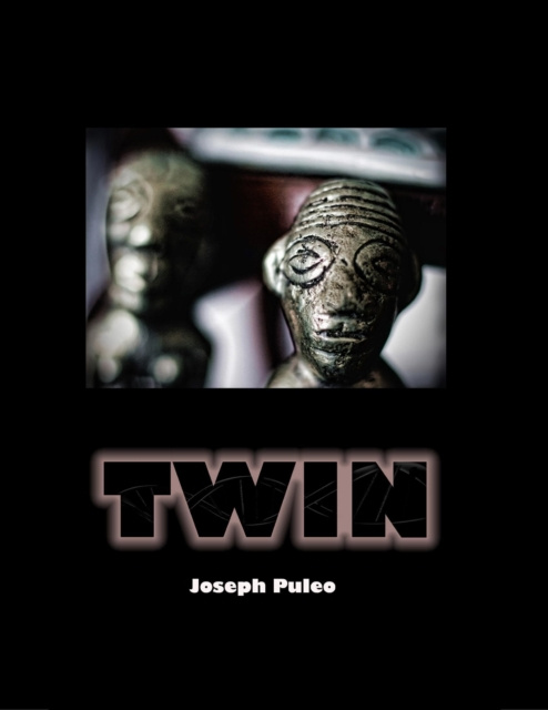 E-knjiga Twin Puleo Joseph Puleo