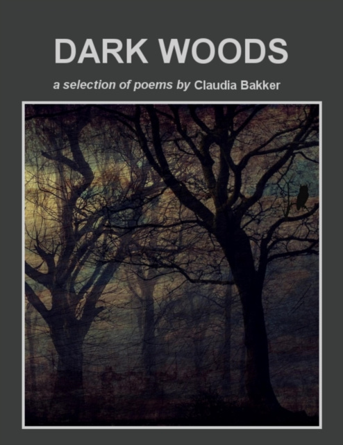 Libro elettronico Dark Woods Bakker Claudia Bakker