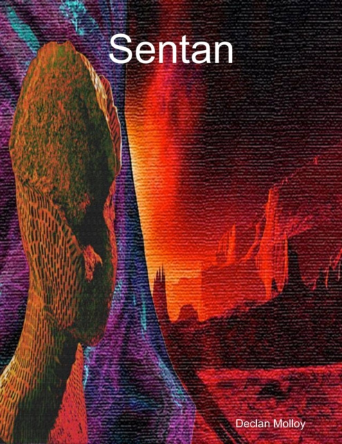 E-knjiga Sentan Molloy Declan Molloy
