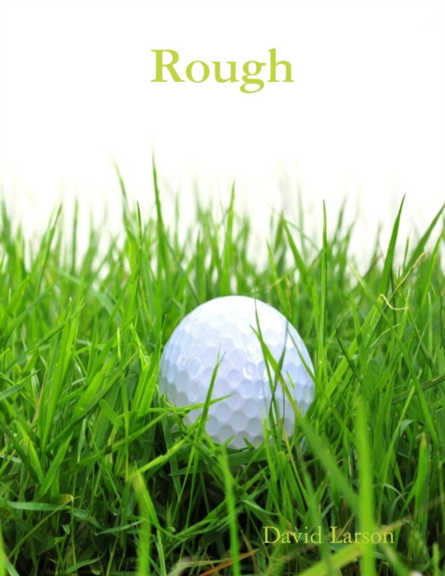 E-knjiga Rough Larson David Larson