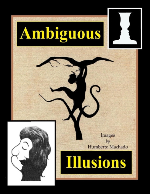 E-knjiga Ambiguous Illusions Machado Humberto Machado