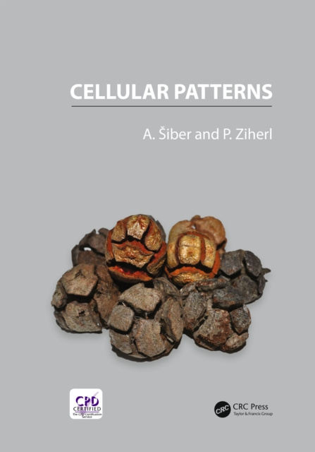 E-knjiga Cellular Patterns Antonio Siber