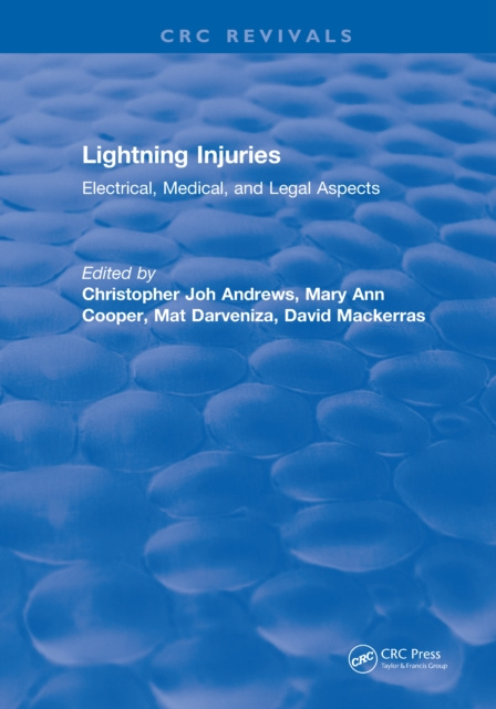 E-knjiga Lightning Injuries Christopher Joh Andrews
