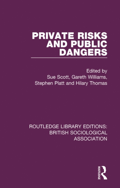 E-book Private Risks and Public Dangers Stephen Platt