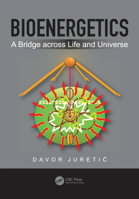 E-knjiga Bioenergetics Davor Juretic