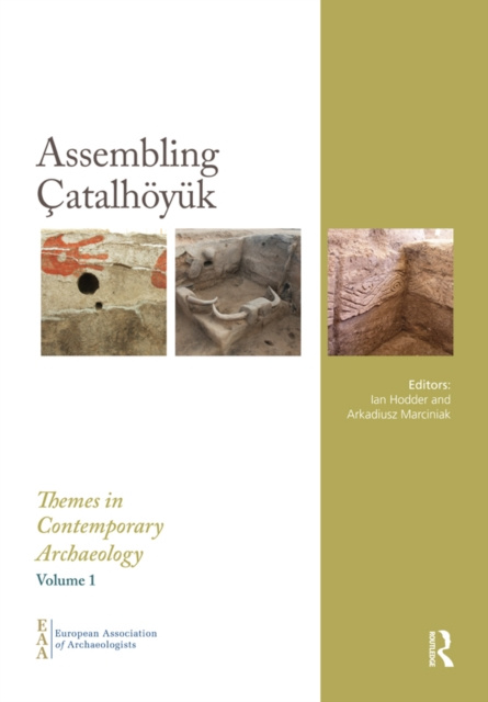 E-book Assembling Catalhoyuk Ian Hodder