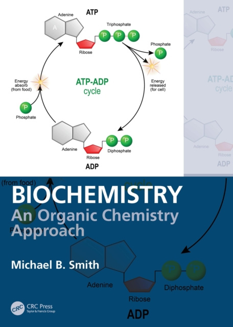 E-kniha Biochemistry Michael B. Smith