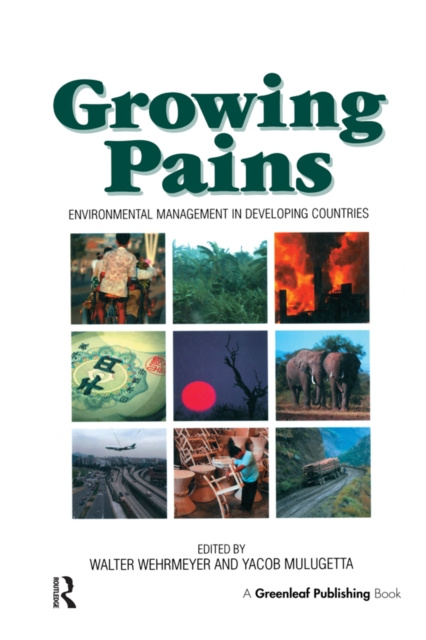 E-knjiga Growing Pains Walter Wehrmeyer