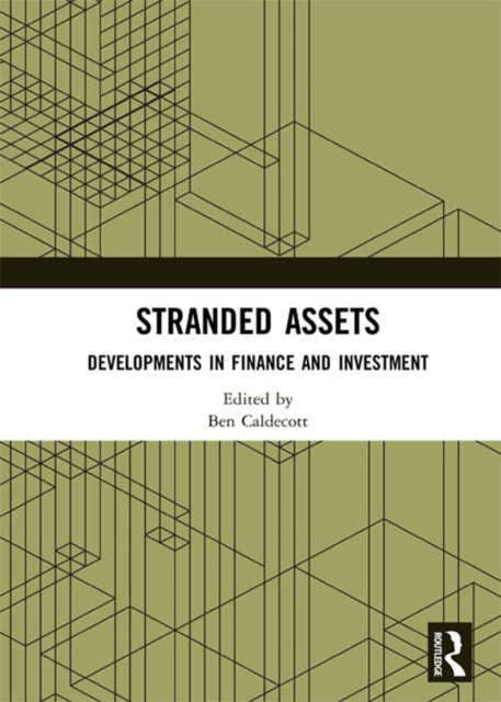 E-book Stranded Assets Ben Caldecott