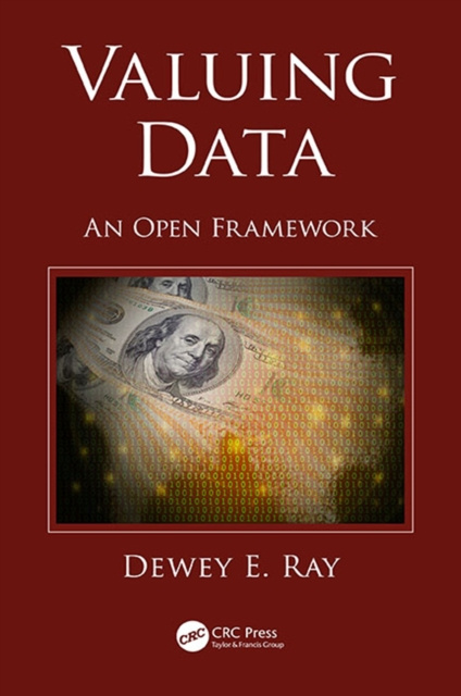 E-knjiga Valuing Data Dewey E. Ray