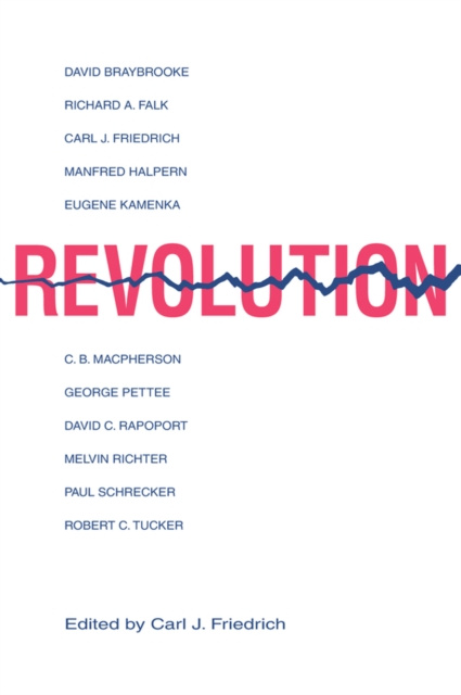 E-book Revolution Carl Friedrich