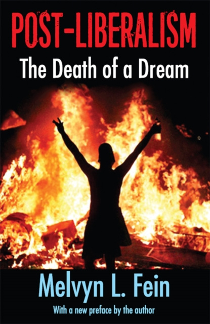 E-book Post-Liberalism Melvyn L. Fein