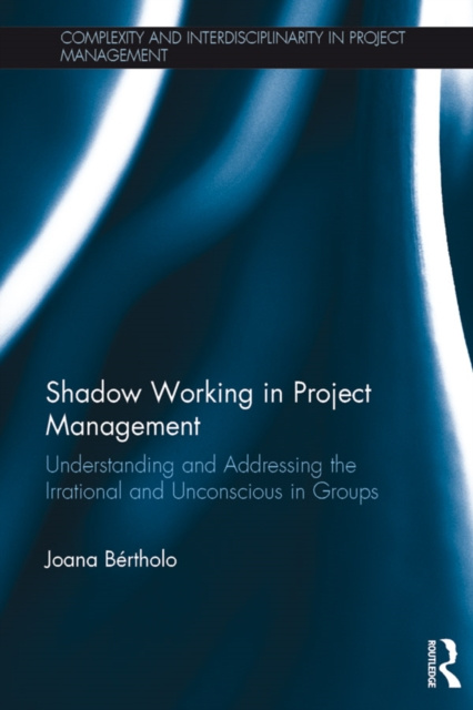 E-knjiga Shadow Working in Project Management Joana Bertholo