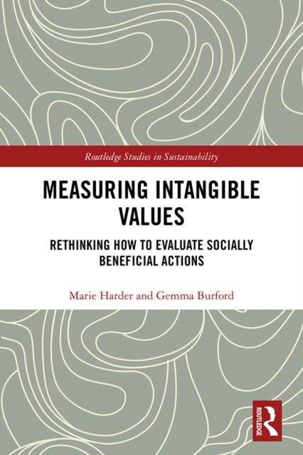 E-book Measuring Intangible Values Marie Harder