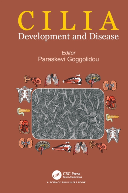 E-knjiga Cilia Paraskevi Goggolidou