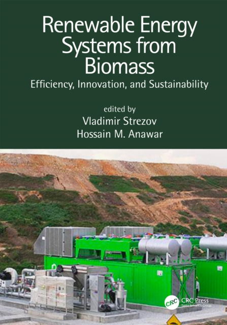 E-kniha Renewable Energy Systems from Biomass Vladimir Strezov