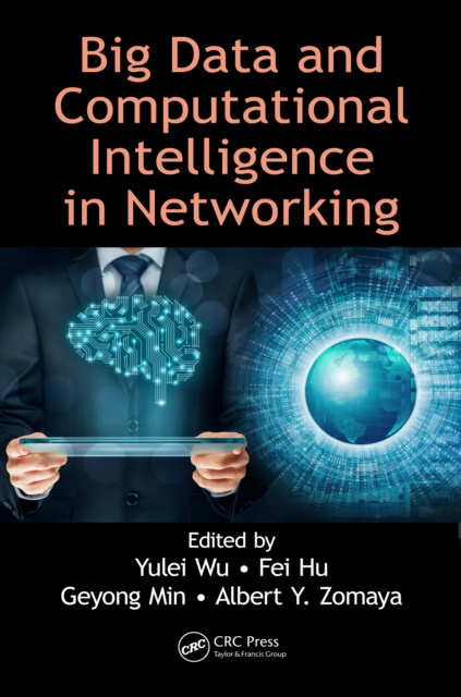 E-knjiga Big Data and Computational Intelligence in Networking Yulei Wu