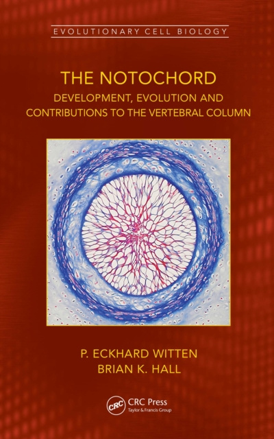E-knjiga Notochord P. Eckhard Witten