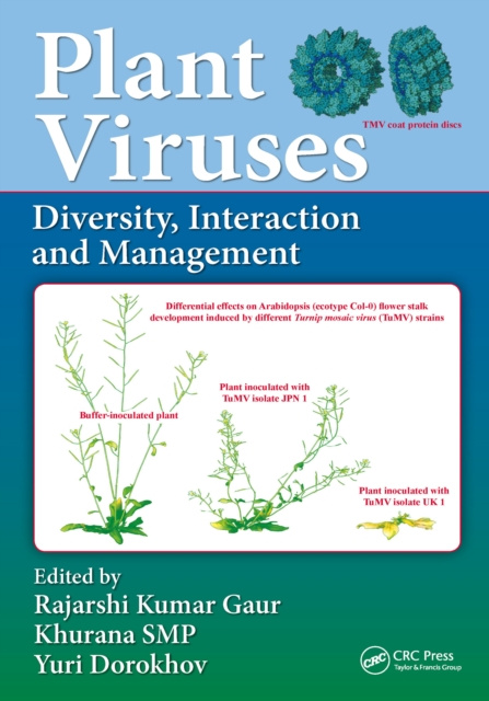 E-kniha Plant Viruses Rajarshi Kumar Gaur