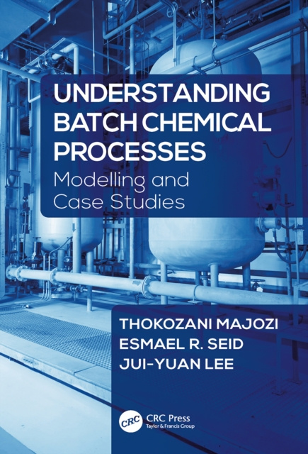 E-book Understanding Batch Chemical Processes Thokozani Majozi