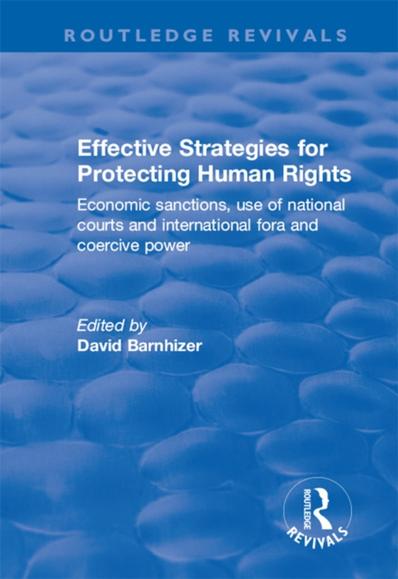 E-book Effective Strategies for Protecting Human Rights David Barnhizer