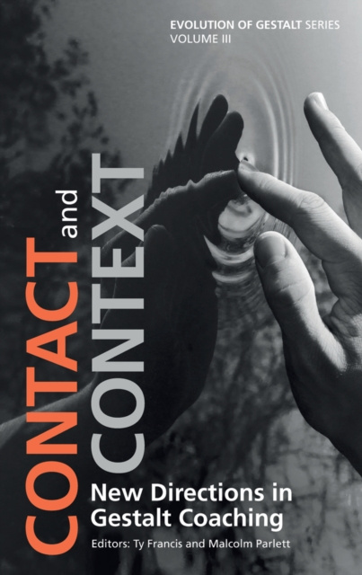 E-knjiga Contact and Context Ty Francis