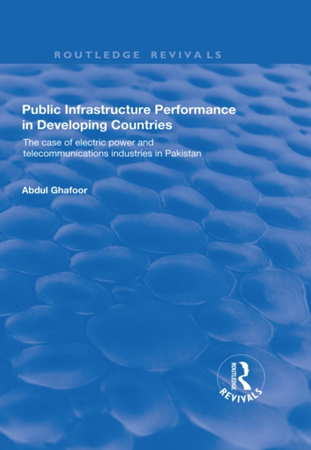 E-knjiga Public Infrastructure Performance in Developing Countries Abdul Ghafoor