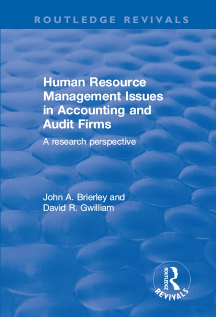 E-kniha Human Resource Management Issues in Accounting and Auditing Firms John A Brierley