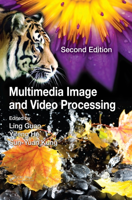 E-book Multimedia Image and Video Processing Ling Guan