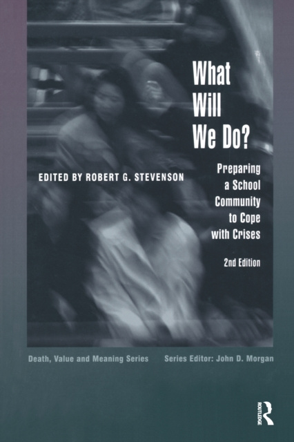 E-kniha What Will We Do? Robert Stevenson