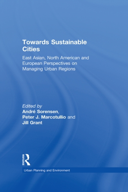 E-book Towards Sustainable Cities Peter J. Marcotullio