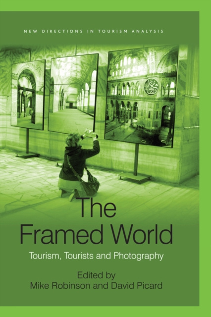 E-book Framed World David Picard