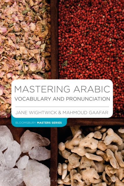 E-book Mastering Arabic Vocabulary and Pronunciation Wightwick Jane Wightwick