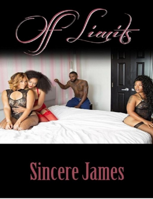 E-knjiga Off Limits James Sincere James